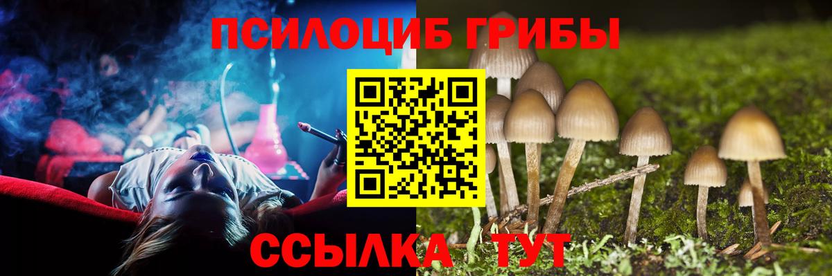 Галлюциногенные грибы MAGIC MUSHROOMS  закладки  Самара  Псилоцибиновые грибы MAGIC MUSHROOMS  Вход с VPN 