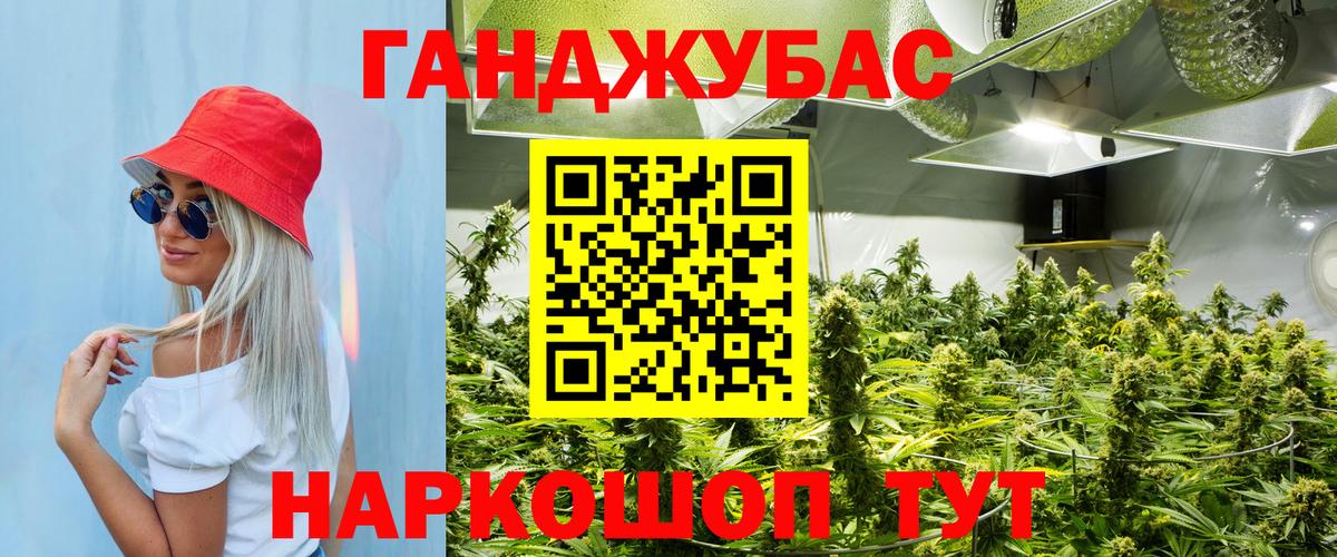 Конопля гибрид Самара